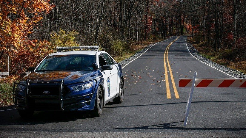 FOTO: Así se ve el "caimán de 30 centímetros" por el que alertaron a la Policía en EE.UU.