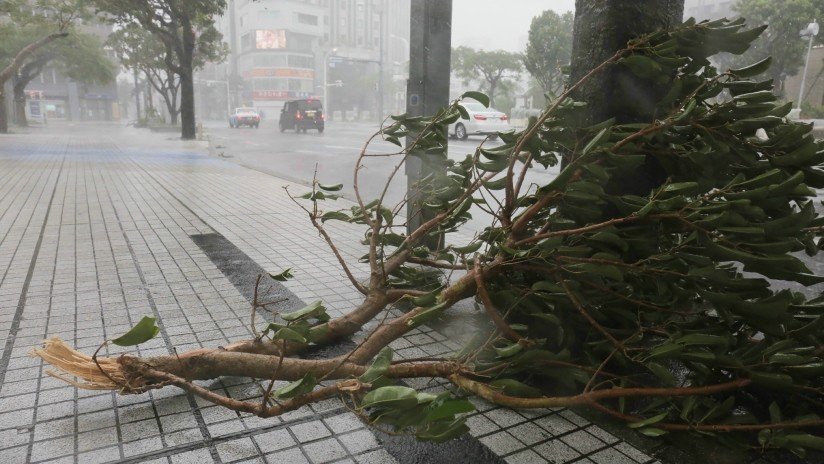 VIDEO: El "imparable" tifón Trami llega a Japón y deja heridos, hogares sin luz y vuelos cancelados