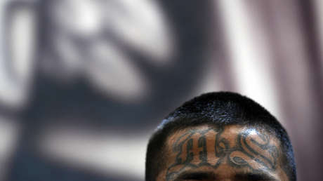 Un presunto miembro de la MS-13 viola a una niña de 11 años en su propio dormitorio