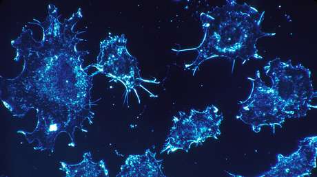 Hallan nuevo procedimiento para combatir formas incurables de cáncer