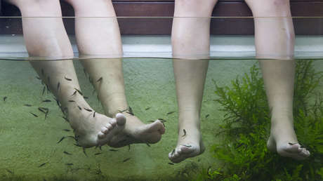 VIDEO: Una mujer pierde los dedos del pie tras una infección 'comehuesos' por una pedicura con peces