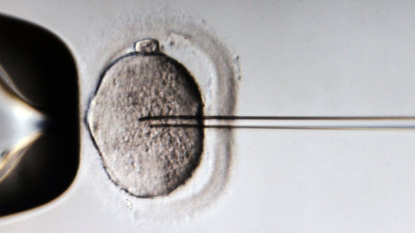 ¿Será posible cambiar el ADN? Japón busca legalizar la 'redacción' de genes en embriones humanos