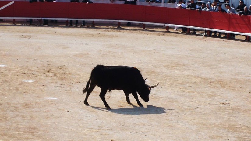 Una mujer muere en Francia por la cornada de un toro