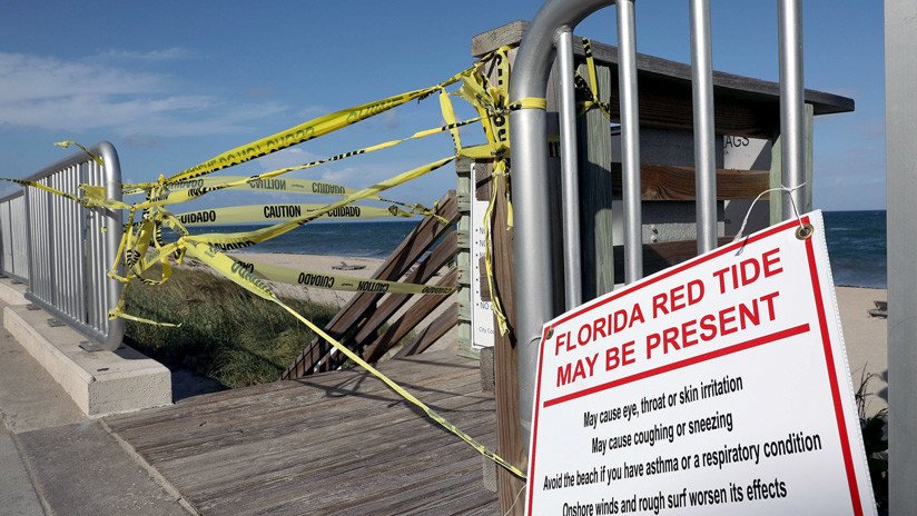 La marea roja amenaza con más devastación tras el paso del huracán Michael