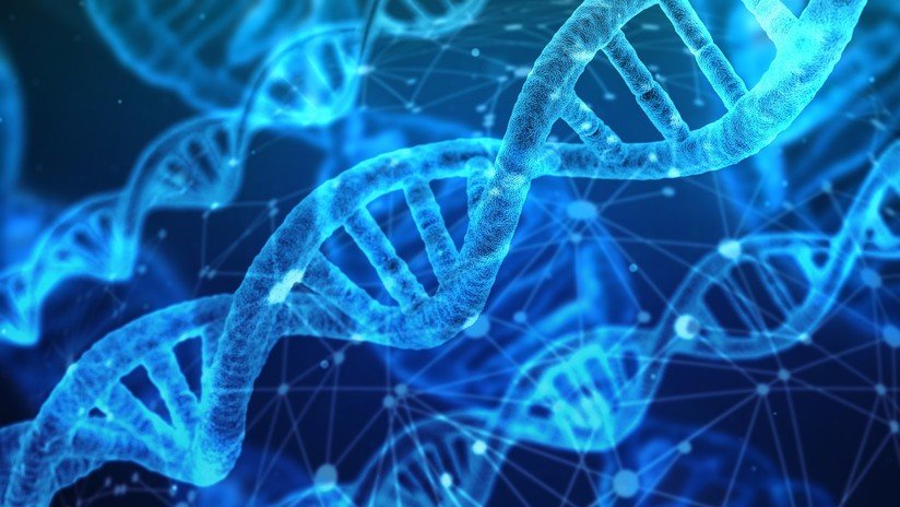 El 60% de los estadounidenses pueden ser identificados con una sola muestra de ADN