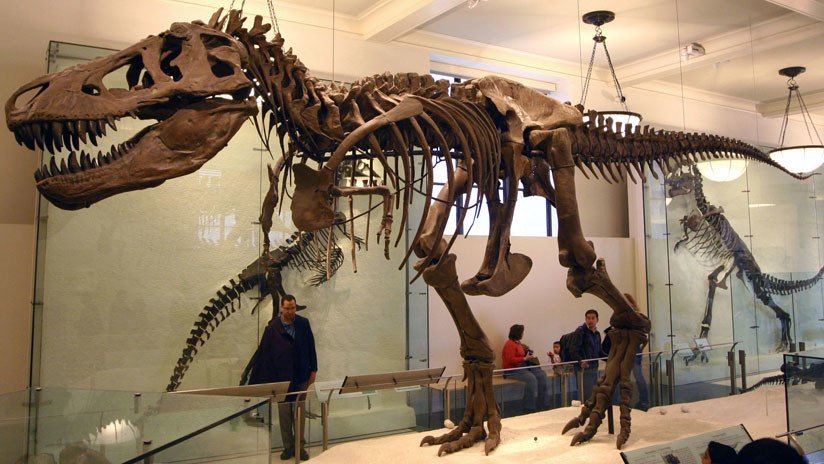 Un videojuego recrea la versión "más precisa de la historia" del Tiranosaurio Rex 