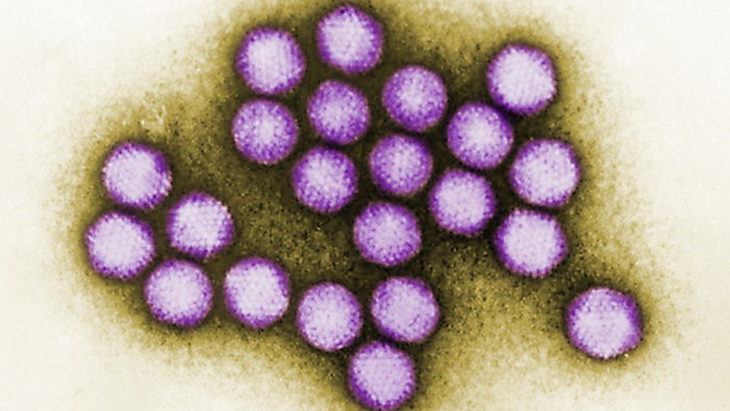 Mueren seis niños por un "brote severo" de adenovirus en un centro médico en EE.UU.