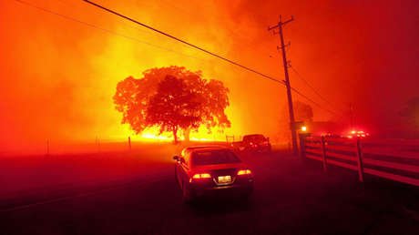"Cuestión de vida o muerte": Científicos avisan que el tiempo para evitar el caos climático se acaba
