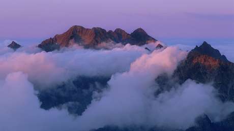 Escala el pico más alto de Polonia y encuentra un gato doméstico sentado en la cima (FOTOS, VIDEO)