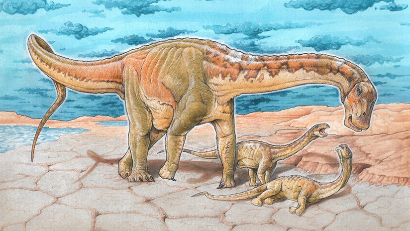 'Alfredito': Hallan en Argentina una nueva especie de dinosaurio que vivió hace 110 millones de años