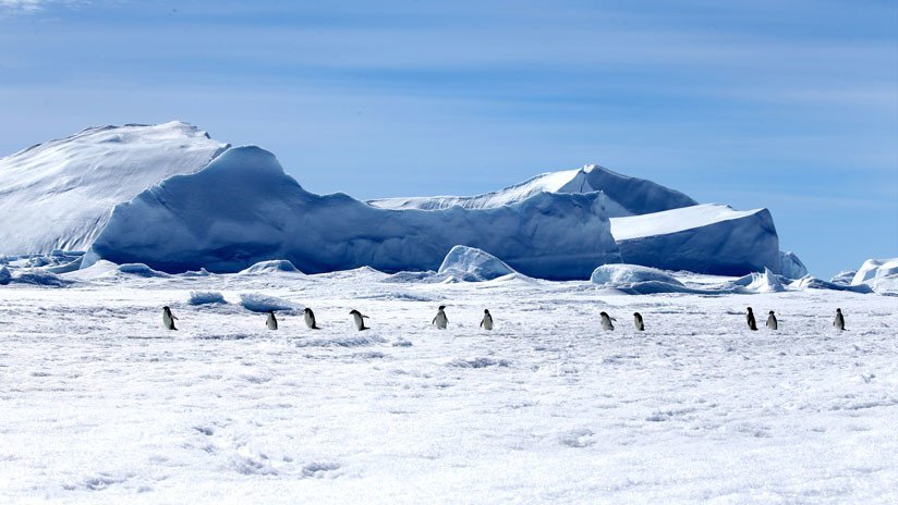 VIDEO: Encuentran reliquias de continentes perdidos debajo del hielo de la Antártida