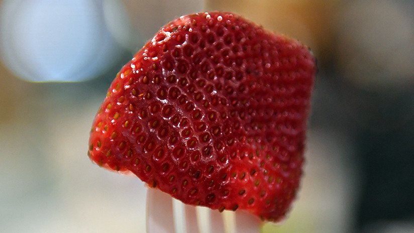 Arrestan a la 'terrorista' de las fresas, que causó pánico en toda Australia