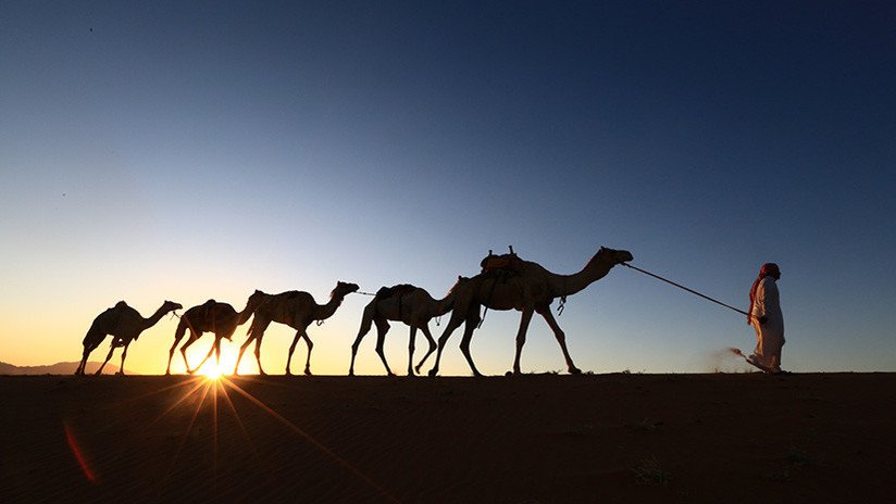 VIDEO: Camellos surcan el desierto saudita convertido en un lago 