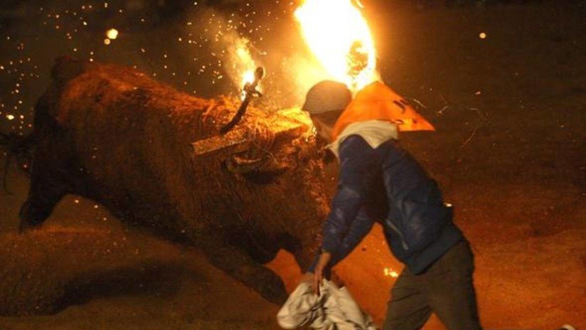 Lo inmovilizan y prenden fuego a la estructura de su cornamenta: El Toro de Júbilo en España (VIDEO)