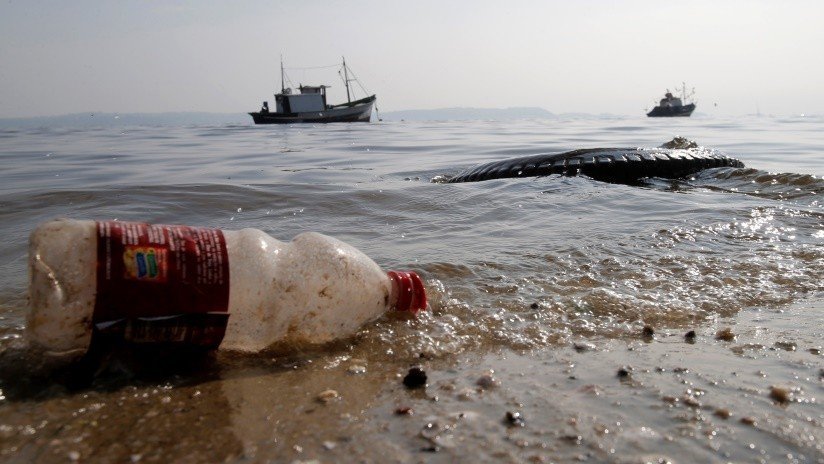 FOTO: Pescador extrae una botella de plástico de medio litro del estómago de un pescado