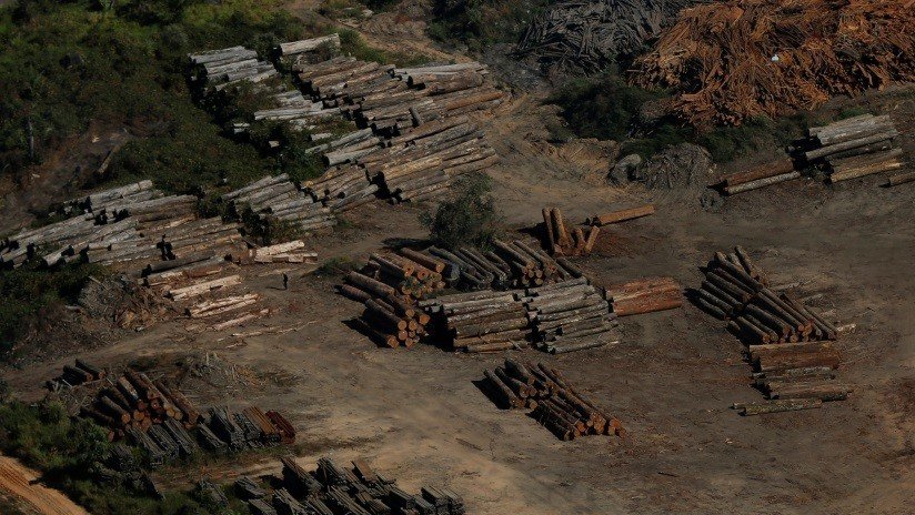 La Amazonia brasileña sufre la peor deforestación en una década
