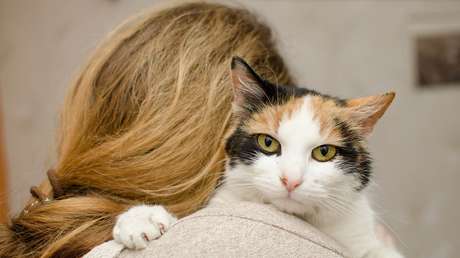 VIDEO: Tierno reencuentro de una pareja afectada por los incendios de California con su gato prófugo