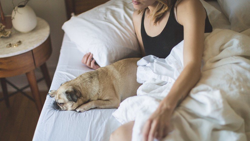 Científico: Las mujeres duermen mejor con un perro al lado que con su pareja