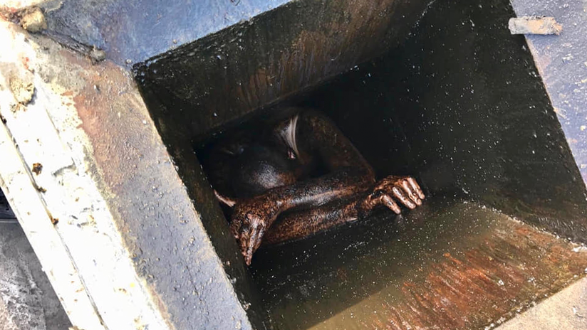 FOTOS: Rescatan a un ladrón exhausto y deshidratado atrapado 2 días en el ducto de un restaurante