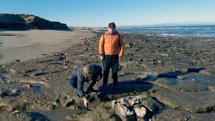 FOTOS: Una familia encuentra restos fósiles de un perezoso gigante extinto en la costa de Argentina