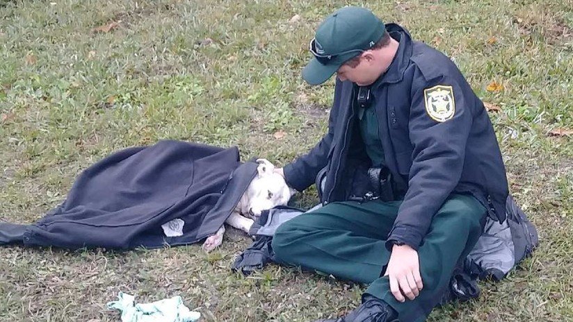 FOTO: Un policía cubre con su abrigo a una perra herida por un auto