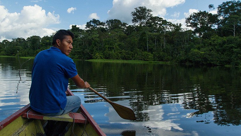 Español ofrece una alternativa para reforestar la Amazonía peruana