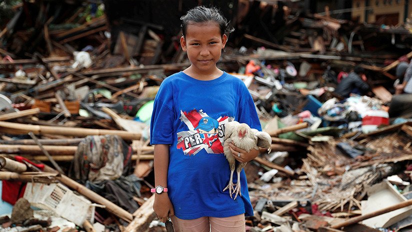 "Todas las vidas importan": Rescatistas indonesios salvan a un grupo de tortugas tras el tsunami
