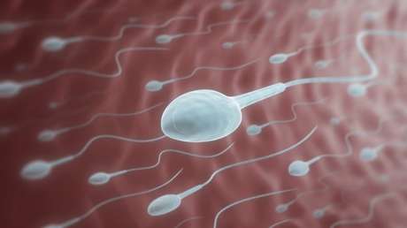 Prueban el primer gel anticonceptivo para hombres que se aplica en los hombros