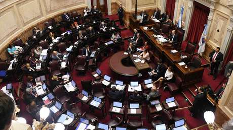 El Senado de Argentina aprueba la 'Ley Micaela': ¿En qué consiste?