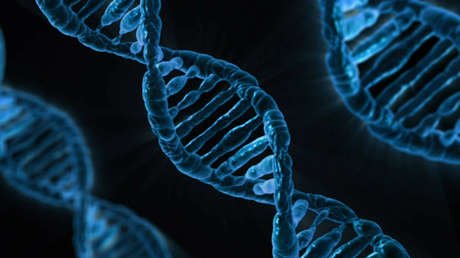 Científicos rusos hallan nuevos genes asociados con el alcoholismo
