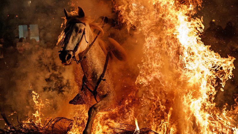 Caballos y fuego, los protagonistas de la antigua tradición española de las Luminarias