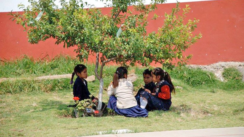 El silencio de las lenguas indígenas: El abismo tras la aclamación de 'Roma' en México