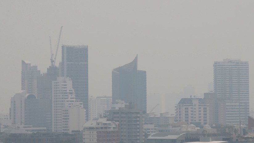 Tos y estornudos con sangre: La polución causa severos problemas a los habitantes y mascotas de Bangkok (FOTOS)