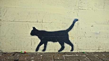 La gata de un experto en arte opina sobre pintura y destroza a arañazos un cuadro del siglo XVII
