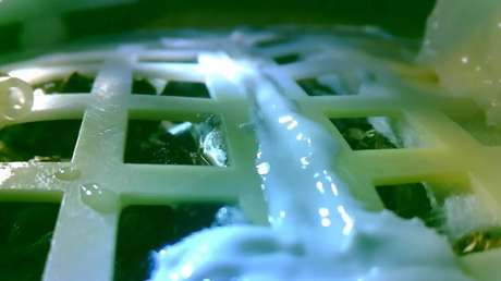 ¡Brota el algodón!: El primer experimento biológico de la historia en la Luna
