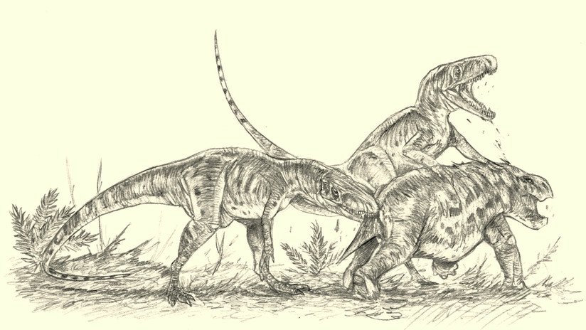Un dinosaurio parecido al T.Rex aplastaba los huesos de sus presas como una hiena