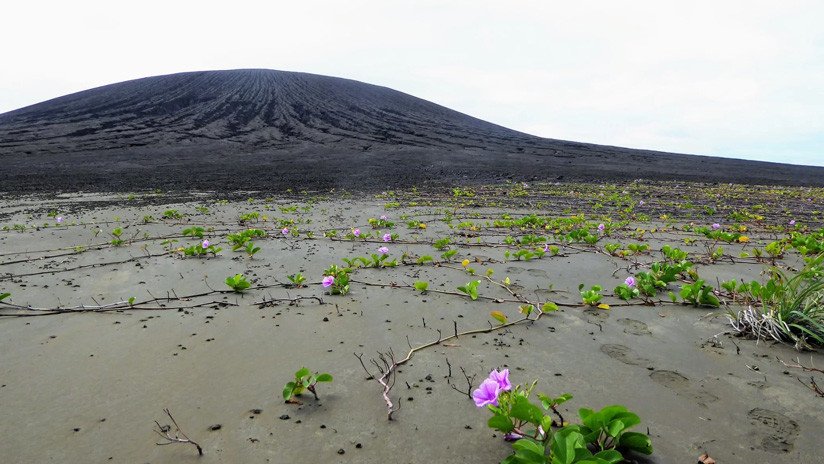 FOTOS: Así es la nueva isla del Pacífico que se resiste a desaparecer