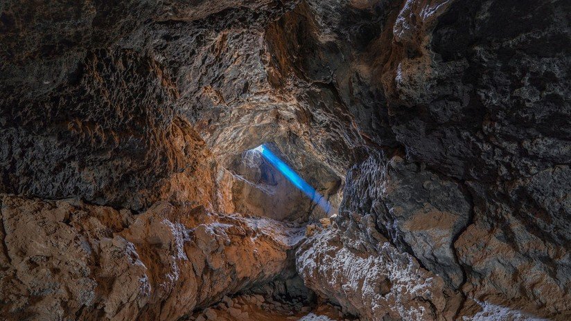 Descubren una nueva especie subterránea en cuevas de Canadá