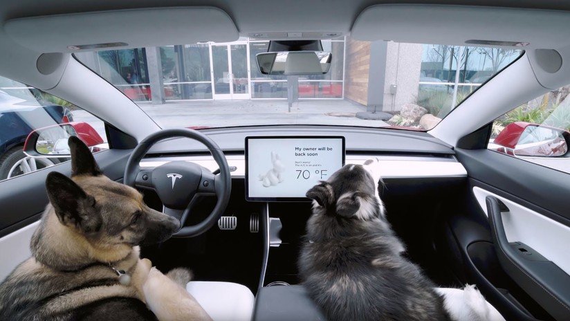 Tesla presenta el 'modo perro': ¿para qué sirve? (VIDEO)