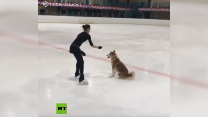 VIDEO: La patinadora rusa Alina Zaguítova entrena junto a su perra de raza Akita Inu