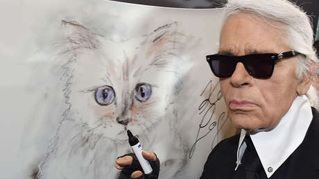 La gata de Karl Lagerfeld podría quedarse con parte de su gran fortuna - RT