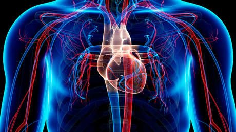 Los médicos explican por qué el cáncer de corazón es tan raro