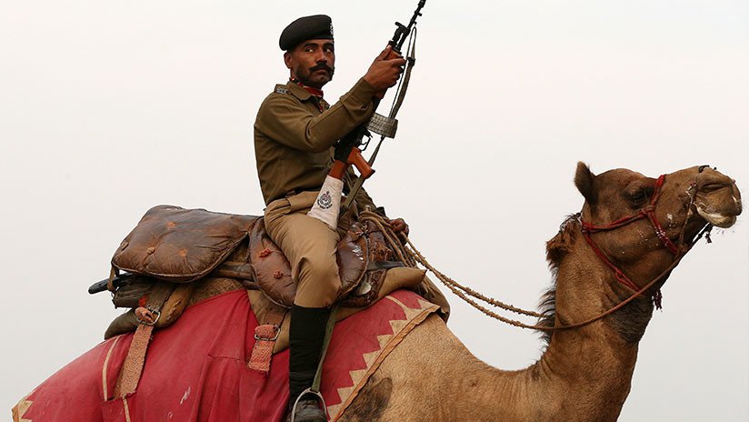 Un camello 'deprimido' se niega a comer y beber tras la muerte del policía indio que lo montaba