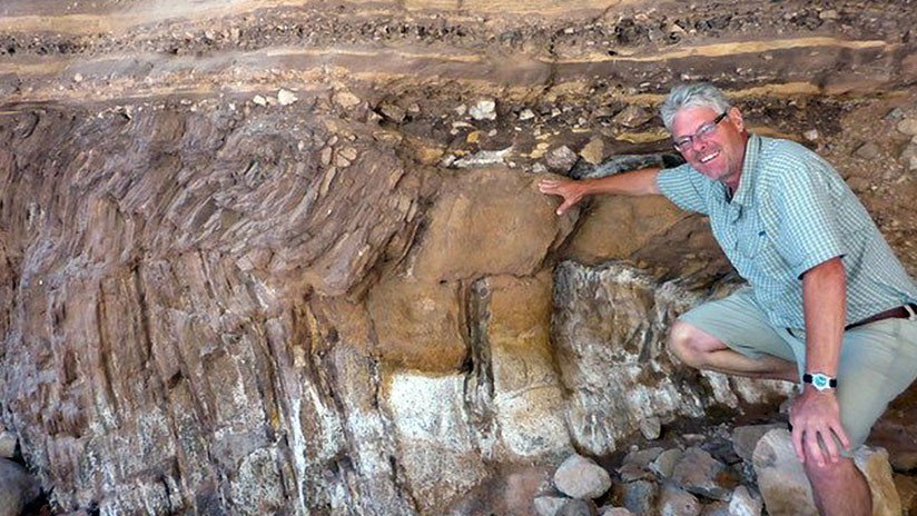Hallan una antigua 'supercarretera' donde vivían gusanos en el fondo del océano hace 500 millones de años