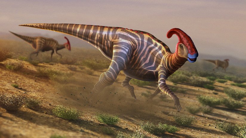 Descubren un nuevo dinosaurio en Australia 