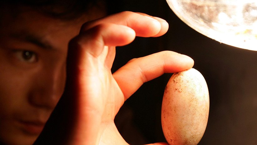 FOTOS: Descubren unos 'huevos milenarios' intactos en una tumba china