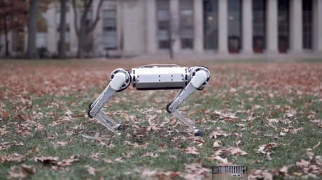 VIDEO: Presentan el nuevo Mini Cheetah, un robot capaz de trotar más rápido que un hombre y de hacer volteretas