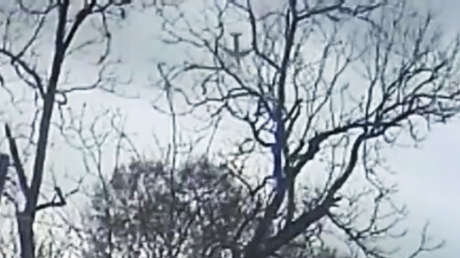 VIDEO: Publican imágenes de la caída boca abajo del avión de carga Boeing 767 en Texas