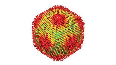Convierte en 'piedra' a sus víctimas: Descubren un virus 'Medusa' en fuentes termales de Japón