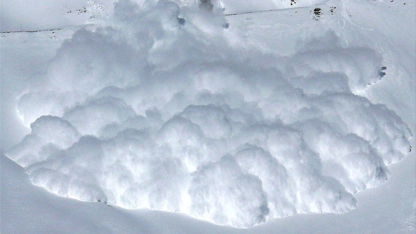 Qué hacer en una avalancha: La sociedad de la nieve viralizó esta  búsqueda en Estados Unidos – Revista Para Ti